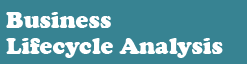 Business Lifestyle Analysis